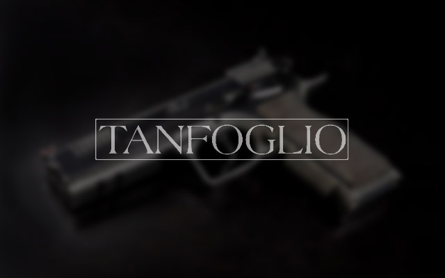 Tanfoglio Force Carry accessories