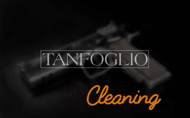 Tanfoglio Force Carry cleaning